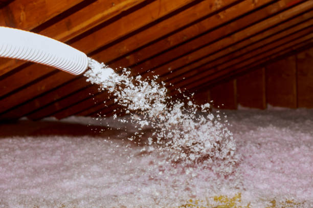 Best Eco-Friendly Insulation in Manche Village, CA