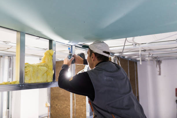 Best Cellulose Insulation in Manche Village, CA