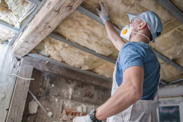 Best DIY Insulation Kits and Guidance in Manche Village, CA