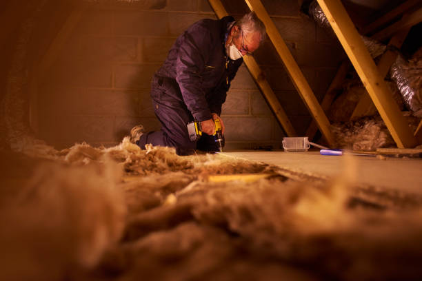 Best Geographic-Specific Insulation Services in Manche Village, CA